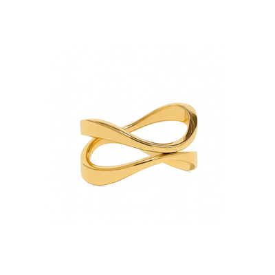 The Infinity Ring memorial gift